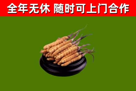 天台烟酒回收冬虫夏草.jpg